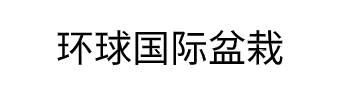 环球国际